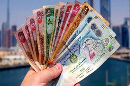 قیمت درهم امروز شنبه ۱۲ اردیبهشت ۱۴۰۵