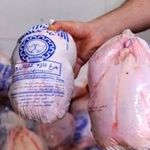 مرغ ارزان وارد بازار شد