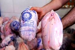 مرغ ارزان وارد بازار شد