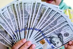 دلارهای بانک مرکزی راهی بازار شد/ سقوط آزاد قیمت دلار در راه است؟