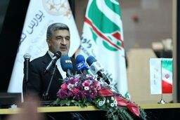 برنامه مفصل بورس برای دوران جنگ و پساجنگ