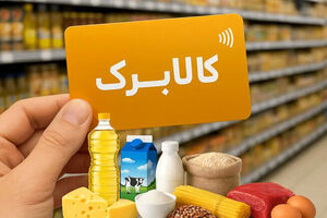 افزایش مبلغ کالابرگ حداقل ۳۰۰هزارتومان/ مدنی‌زاده: بررسی دهک‌های مشمول ادامه دار د