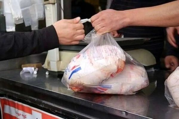 رئیس جهاد کشاورزی استان تهران: مرغ به میزان کافی در بازار موجود است