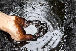 این همه بابک زنجانی در اقتصاد ایران؟/ پول نفت توی حساب بانکی چه کسانی است؟