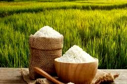قیمت برنج کاهشی شد / توزیع محصول ایرانی و خارجی برای تنظیم بازار