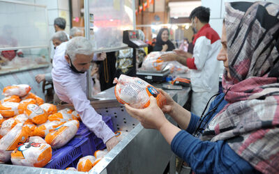 سینه و ران مرغ کیلویی چند شد؟ / قیمت گوشت مرغ امروز ۲۲ شهریور ۱۴۰۵