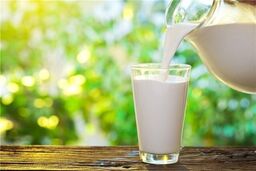 قیمت جدید شیرخام اعلام شد