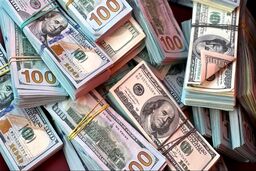 قیمت دلار و قیمت یورو امروز سه‌شنبه ۸ اردیبهشت ۱۴۰۵ + جدول