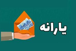 ۳ شاخص بازگشت دوباره یارانه حذف‌شدگان اعلام شد