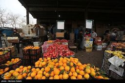 قیمت هفتگی میوه و سبزی تعیین شد