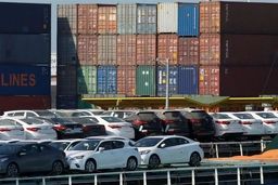 خودروهای موجود در گمرک به زودی ترخیص خواهند شد
