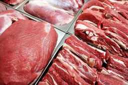 قیمت گوشت قرمز امروز پنجشنبه ۳۱ اردیبهشت ۱۴۰۵ اعلام شد/ گوشت گوسفندی و گوساله کیلویی چند؟+ جدول