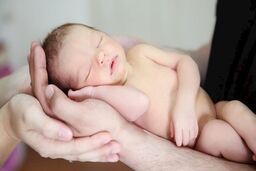 نوزادان کالابرگ می‌گیرند؟