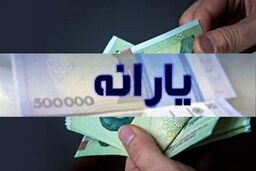 میدری: دهک بندی از معیار یارانه نقدی حذف شد
