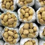 سیب زمینی کی ارزان می‌شود؟ /عوامل گرانی سیب زمینی