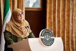 برنامه دولت برای حمایت از کسب و کارهای اینترنتی/ تعامل خوبی میان قوا برقرار است