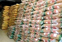 نگران تامین برنج نیستیم/ خاکی: کالا به میزان کافی در فروشگاه‌ها موجود است