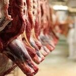 تداوم واردات گوشت با وجود محدودیت‌های تنگه هرمز