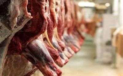 تداوم واردات گوشت با وجود محدودیت‌های تنگه هرمز