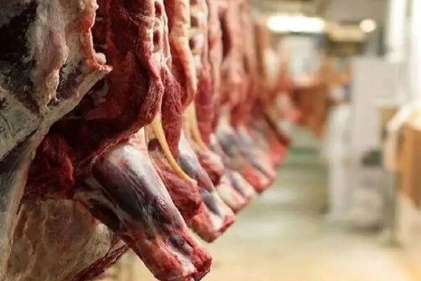 تداوم واردات گوشت با وجود محدودیت‌های تنگه هرمز