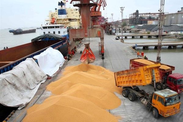 تداوم واردات نهاده های دامی از بنادر شمال و جنوب کشور با وجود جنگ