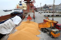 تداوم واردات نهاده های دامی از بنادر شمال و جنوب کشور با وجود جنگ