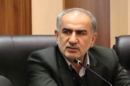 امنیت سرمایه‌گذاری و کاهش ریسک‌ها با توسعه صنعت بیمه