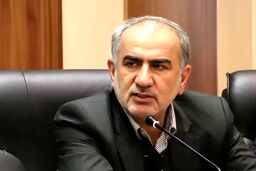 امنیت سرمایه‌گذاری و کاهش ریسک‌ها با توسعه صنعت بیمه