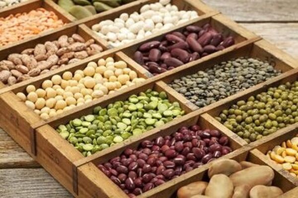 رئیس انجمن حبوبات: قیمت حبوبات تا آخر سال ثابت می‌ماند