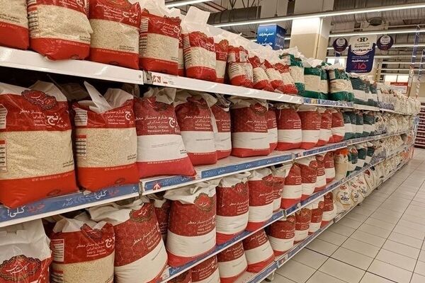 قیمت برنج ارزان شد/ قیمت جدید برنج ایرانی، پاکستانی و هندی اعلام شد