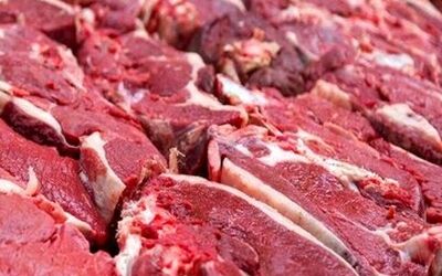 کمبودی در بازار گوشت و مرغ نیست/ مقدسی: گوشت را نباید بالاتر از این رقم بخرید