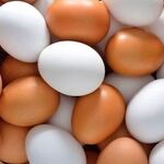 سرانه مصرف تخم مرغ در کشور ۱۵ کیلو است/ ظرفیت تولید سالانه ۲.۷ میلیون تن تخم‌مرغ در کشور وجود دارد