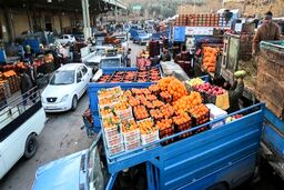 این میوه‌ها نجومی قیمت خوردند/ جدول
