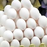  هر کیلو تخم‌مرغ را ۸۰ هزار تومان ارزان‌تر از قیمت تمام شده می‌فروشیم