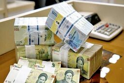 ۸ هزار و ۴۹۲ همت تسهیلات بانکی پرداخت شد/ ۲۶.۷ درصد سهم خانوار