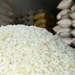 قیمت جدید انواع برنج هاشمی اعلام شد/ کیسه ۱۰کیلویی درجه یک چند؟