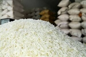 قیمت جدید انواع برنج هاشمی اعلام شد/ کیسه ۱۰کیلویی درجه یک چند؟