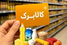 خبر مهم از افزایش اعتبار کالابرگ الکترونیک/ وزارت کار چه رقمی برای افزایش کالابرگ پیشنهاد داد؟