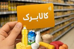 خبر مهم از افزایش اعتبار کالابرگ الکترونیک/ وزارت کار چه رقمی برای افزایش کالابرگ پیشنهاد داد؟