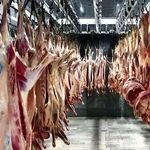  آزاد: قیمت منطقی گوشت کمتر از یک‌ میلیون و ۵۰۰ هزار تومان است، اما بالاتر می‌فروشند