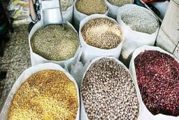 حبوبات به دلیل محاصره دریایی گران شد