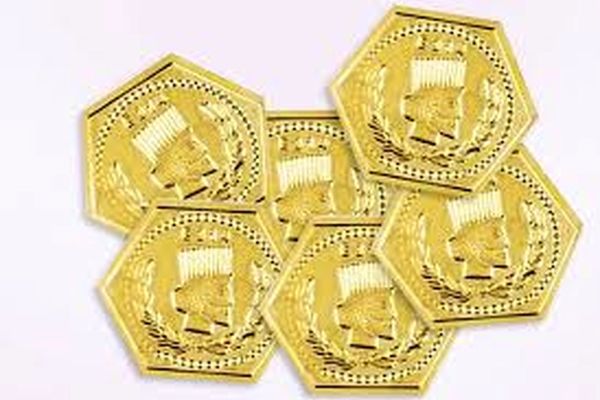 قیمت سکه پارسیان امروز پنجشنبه ۱۳ فروردین ۱۴۰۵