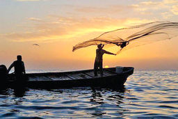 رشد ۱۹ هزار میلیارد تومانی سرمایه‌گذاری در شیلات