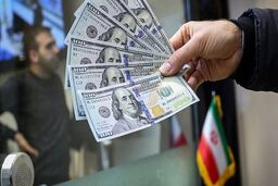 قیمت دلار، یورو و انواع ارزها امروز ۲۳ مهر ۱۴۰۵/ دلار ۲۶۶ هزار تومان قیمت خورد/ جدول