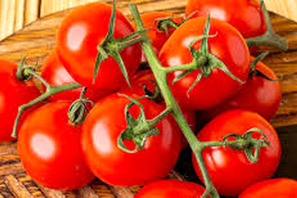 بازار گوجه فرنگی متعادل می شود