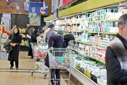 حذف خریدهای بزرگ از سبد خانوار
