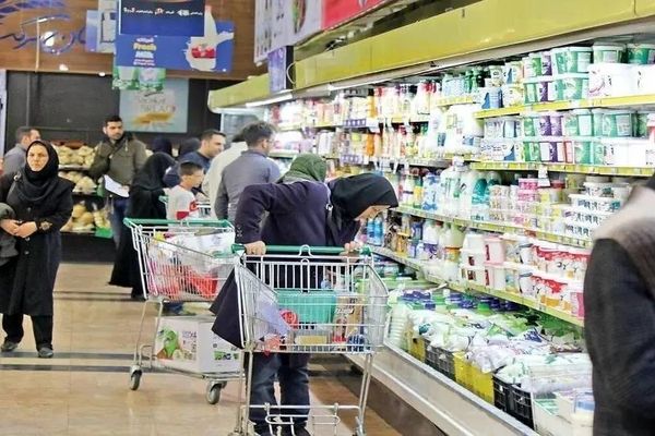 حذف خریدهای بزرگ از سبد خانوار