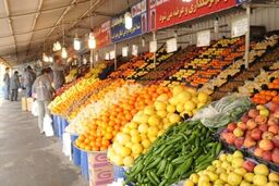 توزیع میوه عید از 20 اسفند آغاز می‌شود