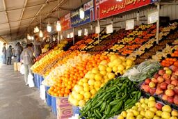 توزیع میوه عید از 20 اسفند آغاز می‌شود